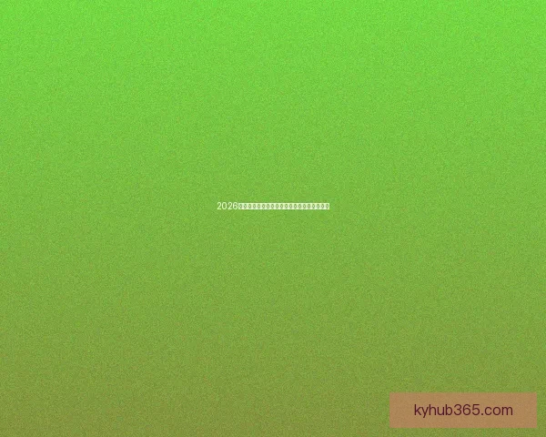 2026世界杯精彩对决预测与胜负竞猜平台全新上线